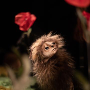 Sur les pas d'Oodaaq (c) Aurore Papalia