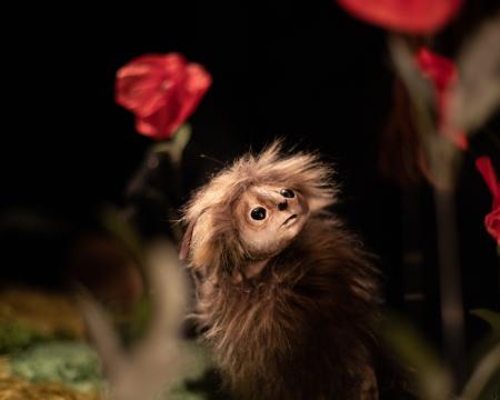 Sur les pas d'Oodaaq (c) Aurore Papalia