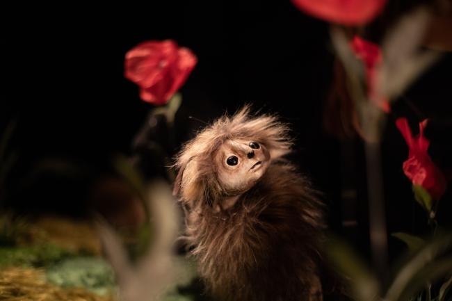 Sur les pas d'Oodaaq (c) Aurore Papalia