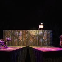 Sur les dents (c) Carole Parodi