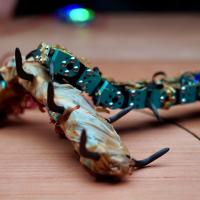 Simple Machines (c) Arne Lievens