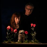 Sur les pas d'Oodaaq (c) Aurora Papalia