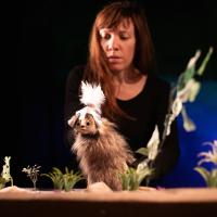 Sur les pas d'Oodaaq (c) Aurora Papalia