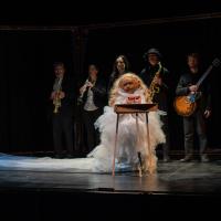 Ouch(c)FanfareduLoup