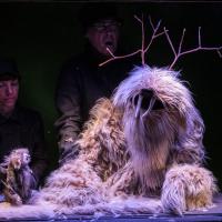 Sur les pas d'Oodaaq (c) Aurora Papalia