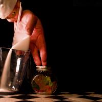 Baby Tyler Show (c) Helene Cyr