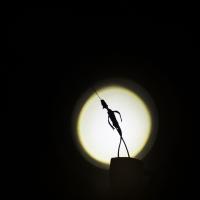 L'ombre des choses (c) Juanjo