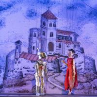 Le coeur des libellules (c) Carole Parodi