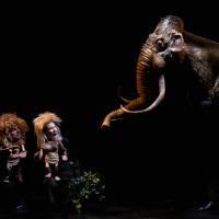 Le Truc sur le feu (c) Carole Parodi