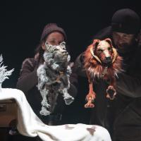 L'appel sauvage (c) Carole Parodi