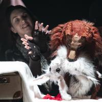 L'appel sauvage (c) Carole Parodi