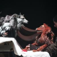 L'appel sauvage (c) Carole Parodi