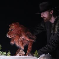 L'appel sauvage (c) Carole Parodi