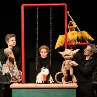 Le vilain petit canard (c) Carole Parodi