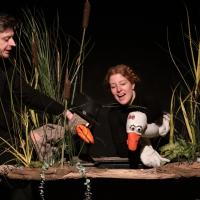 Le vilain petit canard (c) Carole Parodi