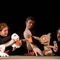 Le vilain petit canard (c) Carole Parodi